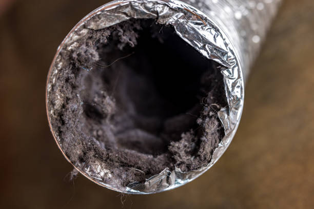 Best Best Air Duct Cleaning Company  in Calverton Park, MO